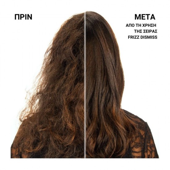 REDKEN Frizz Dismiss Σαμπουάν Κατά Του Φριζαρίσματος 300ml