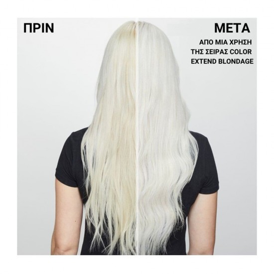 REDKEN Color Extend Blondage Σαμπουάν Κατά Των Κίτρινων Τόνων 300ml